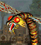 Dragon Fly portrait.gif