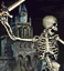 Skeleton portrait.gif